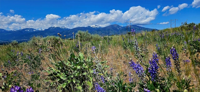 NHN Upper Woodchuck Rd, Florence, MT 59833