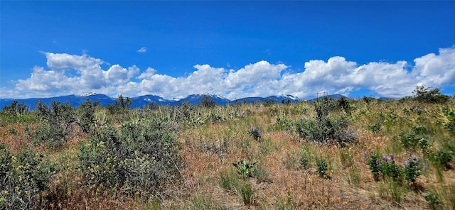 NHN Upper Woodchuck Rd, Florence, MT 59833