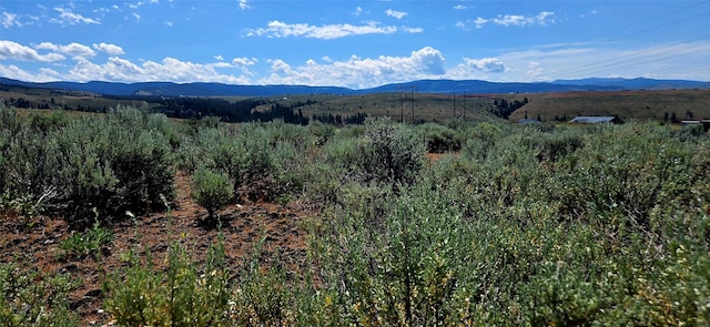 NHN Upper Woodchuck Rd, Florence, MT 59833