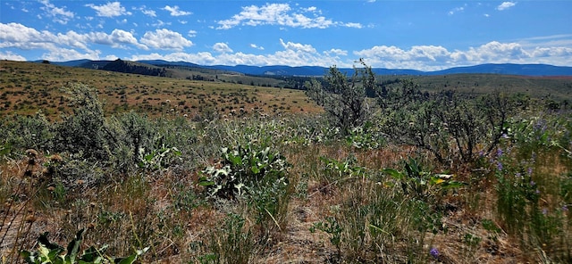 NHN Upper Woodchuck Rd, Florence, MT 59833