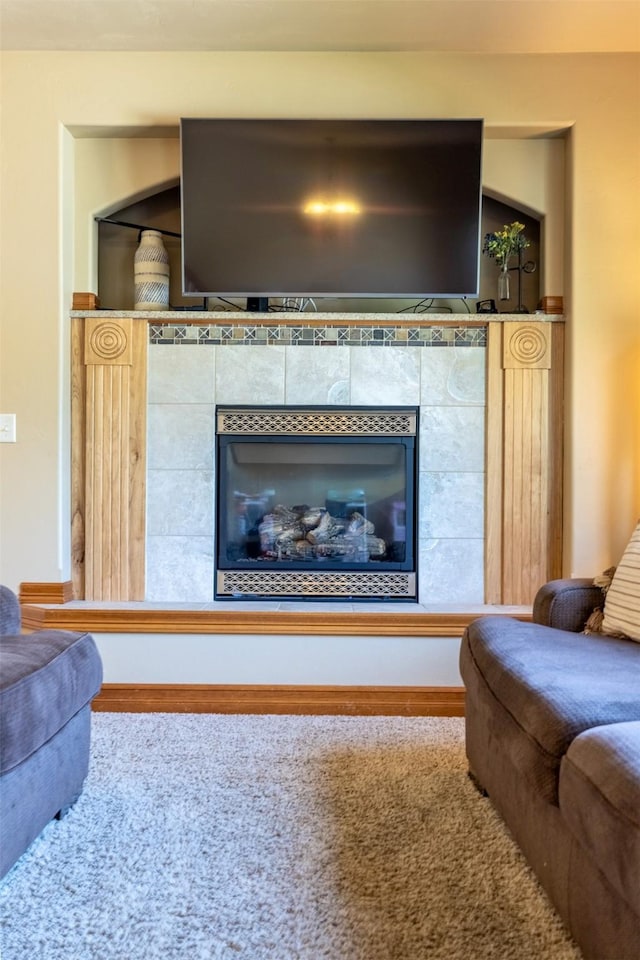 310 Barney St Unit B, Helena, MT 59602 - detailed view of carpet flooring and a fireplace