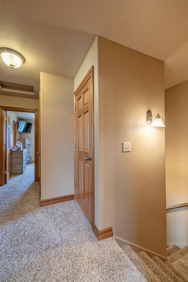 310 Barney St Unit B, Helena, MT 59602 - hall with carpet floors and stairs