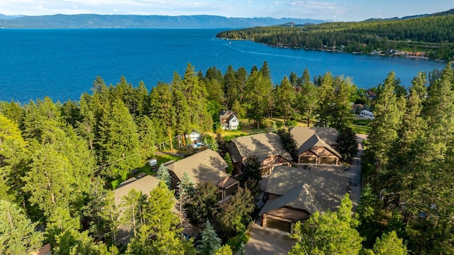 396 N Juniper Bay Rd Unit 15, Somers, MT 59932 - bird's eye view of a forest and a water and mountain view