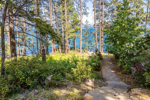 396 N Juniper Bay Rd Unit 15, Somers, MT 59932 - view of yard
