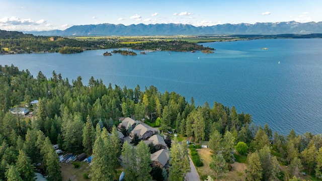 396 N Juniper Bay Rd Unit 15, Somers, MT 59932 - view of property location featuring a water and mountain view