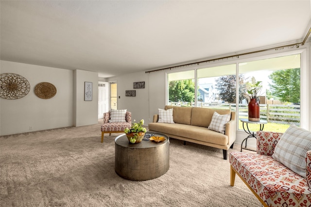 1120 8th Ave E, Kalispell, MT 59901 - living room featuring carpet
