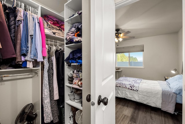 546 Sparrow Rd, Kalispell, MT 59901 - bedroom featuring wood finished floors