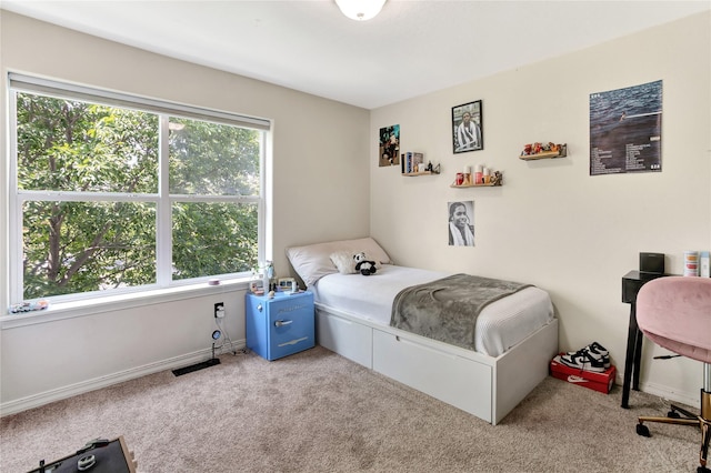 1346 Lilly Ct, Missoula, MT 59802 - bedroom featuring carpet flooring