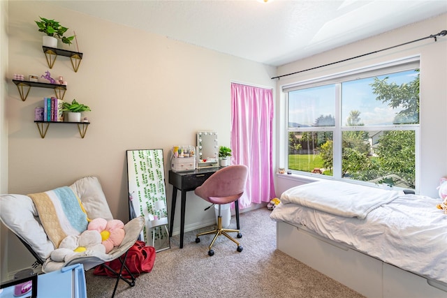 1346 Lilly Ct, Missoula, MT 59802 - view of carpeted bedroom