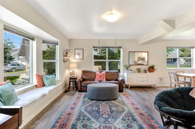 1346 Lilly Ct, Missoula, MT 59802 - living area featuring wood finished floors and baseboards