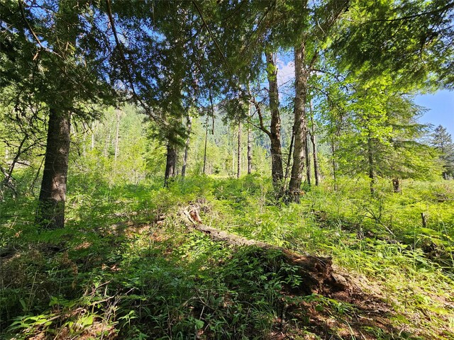 LOT1 Conifer Ln, Noxon, MT 59853