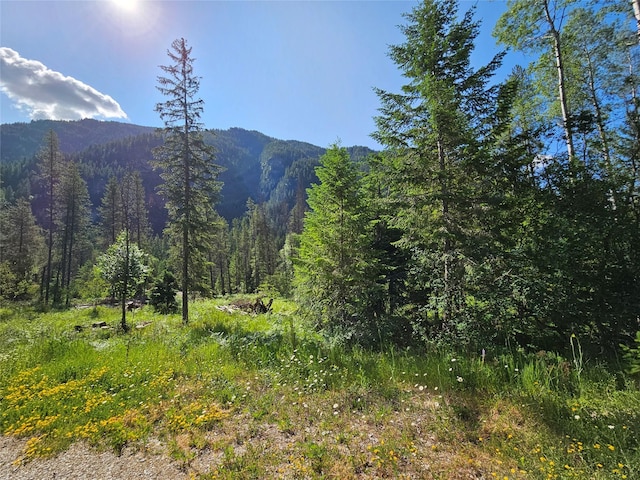 LOT1 Conifer Ln, Noxon, MT 59853