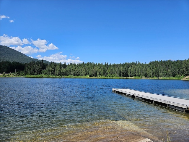 LOT1 Conifer Ln, Noxon, MT 59853