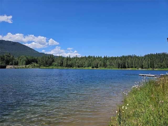 LOT1 Conifer Ln, Noxon, MT 59853