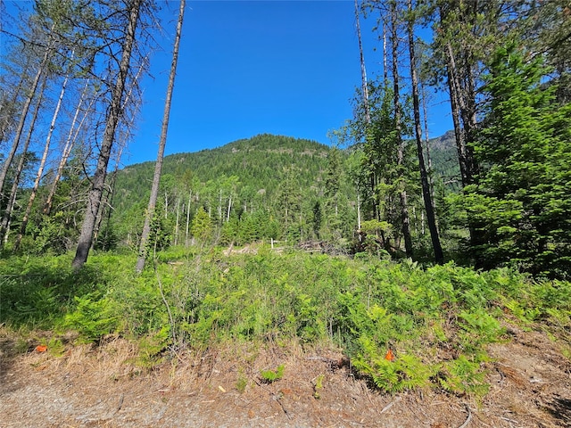 LOT1 Conifer Ln, Noxon, MT 59853