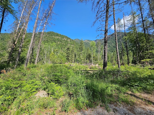 LOT1 Conifer Ln, Noxon, MT 59853