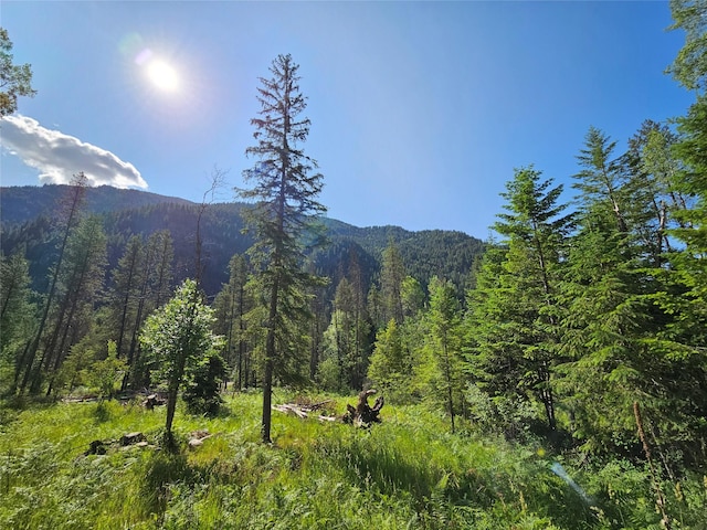 LOT1 Conifer Ln, Noxon, MT 59853