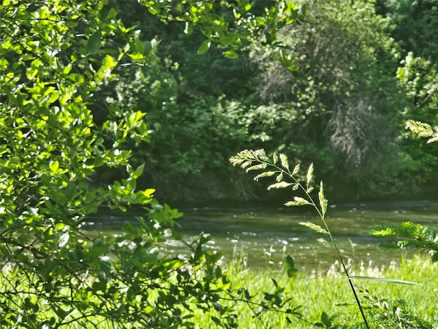 LOT1 Conifer Ln, Noxon, MT 59853