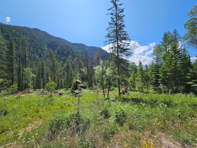 LOT1 Conifer Ln, Noxon, MT 59853