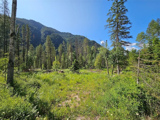LOT1 Conifer Ln, Noxon, MT 59853