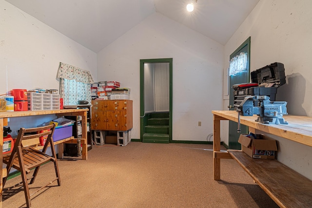 14980 Mt Highway 35, Bigfork, MT 59911 - office space featuring vaulted ceiling and carpet floors
