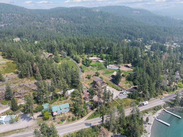 14980 Mt Highway 35, Bigfork, MT 59911 - aerial view of property's location featuring a heavily wooded area and a water and mountain view