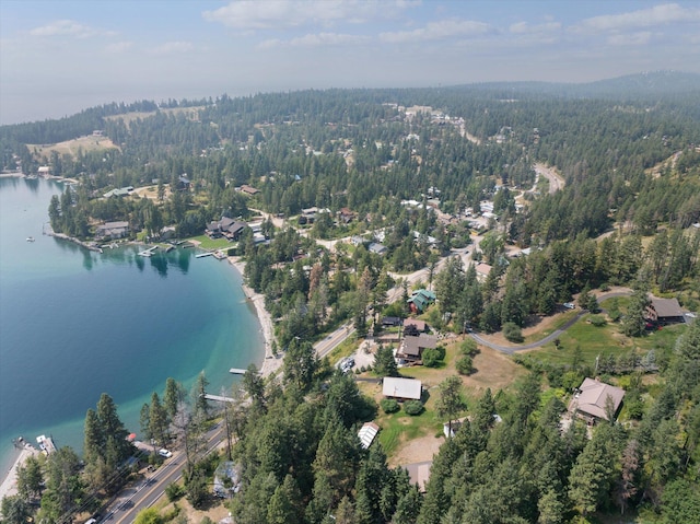 14980 Mt Highway 35, Bigfork, MT 59911 - aerial view of property's location with a heavily wooded area and a nearby body of water