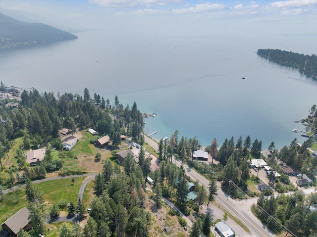14980 Mt Highway 35, Bigfork, MT 59911 - bird's eye view of a large body of water