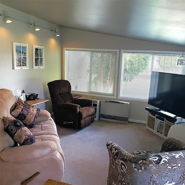 4400 Sierra Dr, Missoula, MT 59804 - living room featuring carpet, heating unit, and track lighting