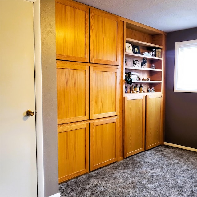 4400 Sierra Dr, Missoula, MT 59804 - detailed view of carpet floors and a textured ceiling