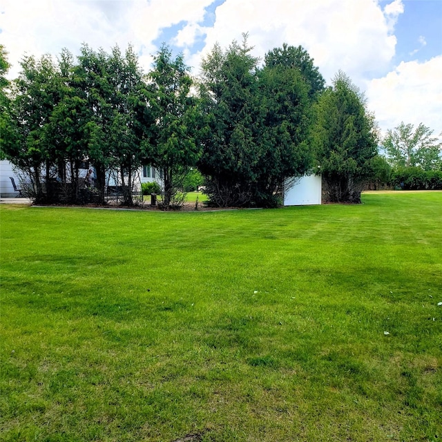 4400 Sierra Dr, Missoula, MT 59804 - view of green lawn