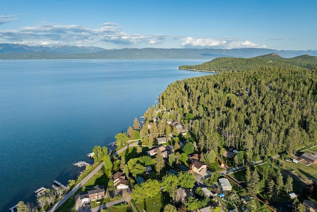35AND33 Lakeside Ave, Lakeside, MT 59922 - view of property location with a water and mountain view and a heavily wooded area