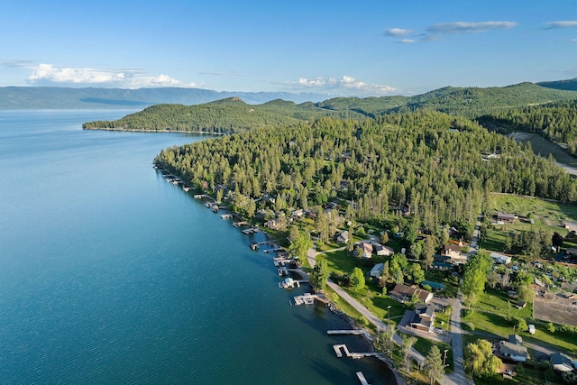 35AND33 Lakeside Ave, Lakeside, MT 59922 - aerial view of property's location with a water and mountain view and a heavily wooded area