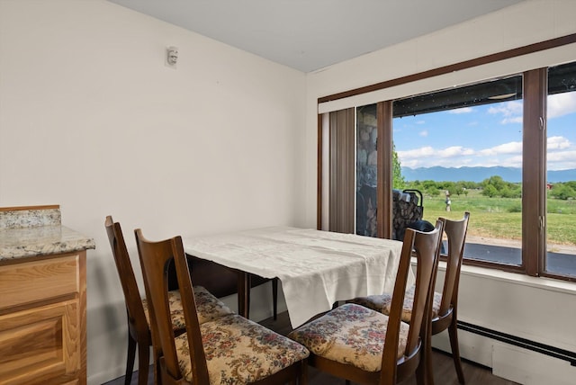 91 Denver Ave, Kalispell, MT 59901 - dining room featuring wood finished floors, a mountain view, and a baseboard heating unit