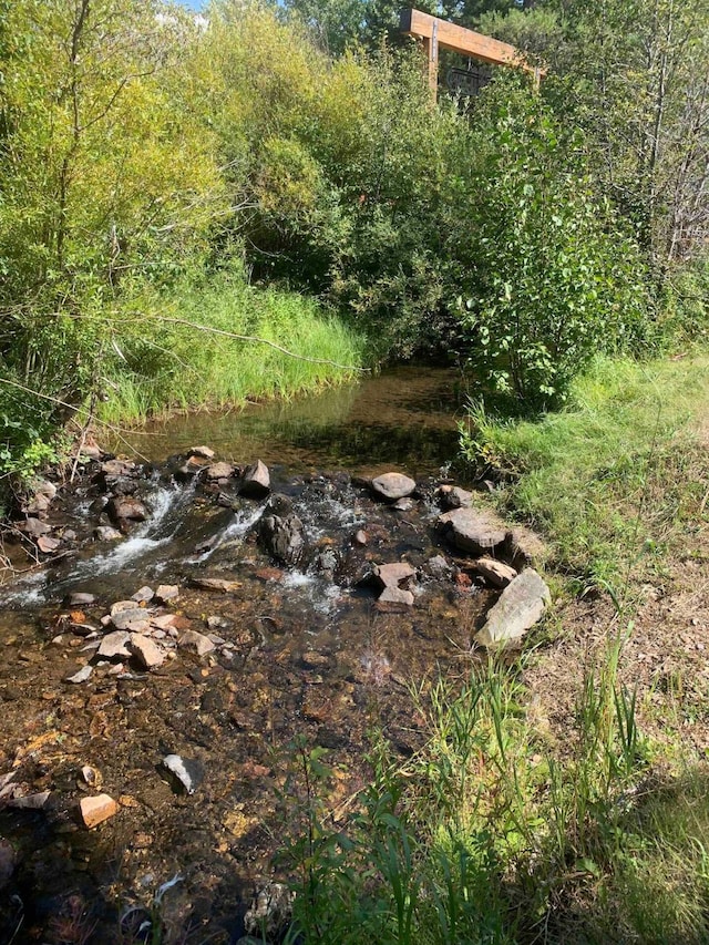 8325 Thunder Rd, Lincoln, MT 59639 - view of wooded area