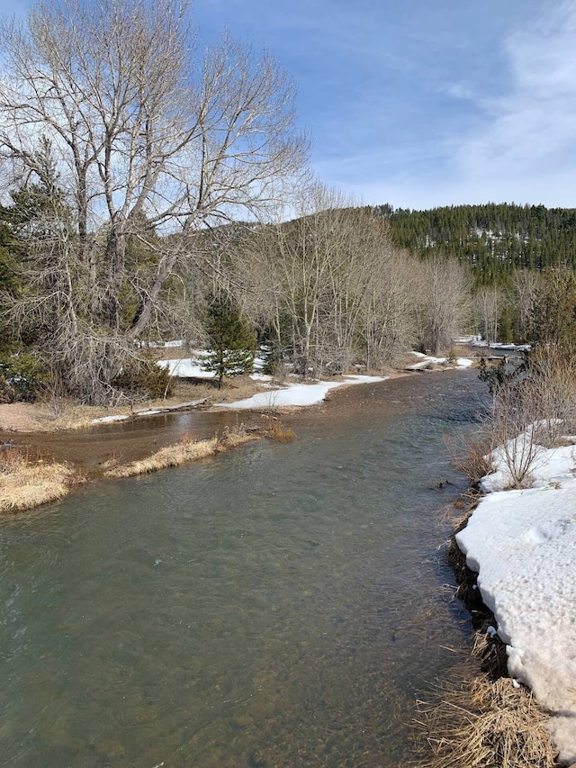 8325 Thunder Rd, Lincoln, MT 59639 - water view with a heavily wooded area