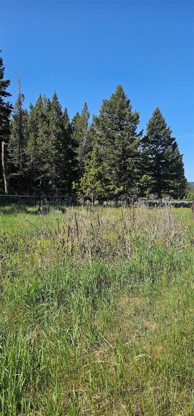 8325 Thunder Rd, Lincoln, MT 59639 - view of undeveloped land