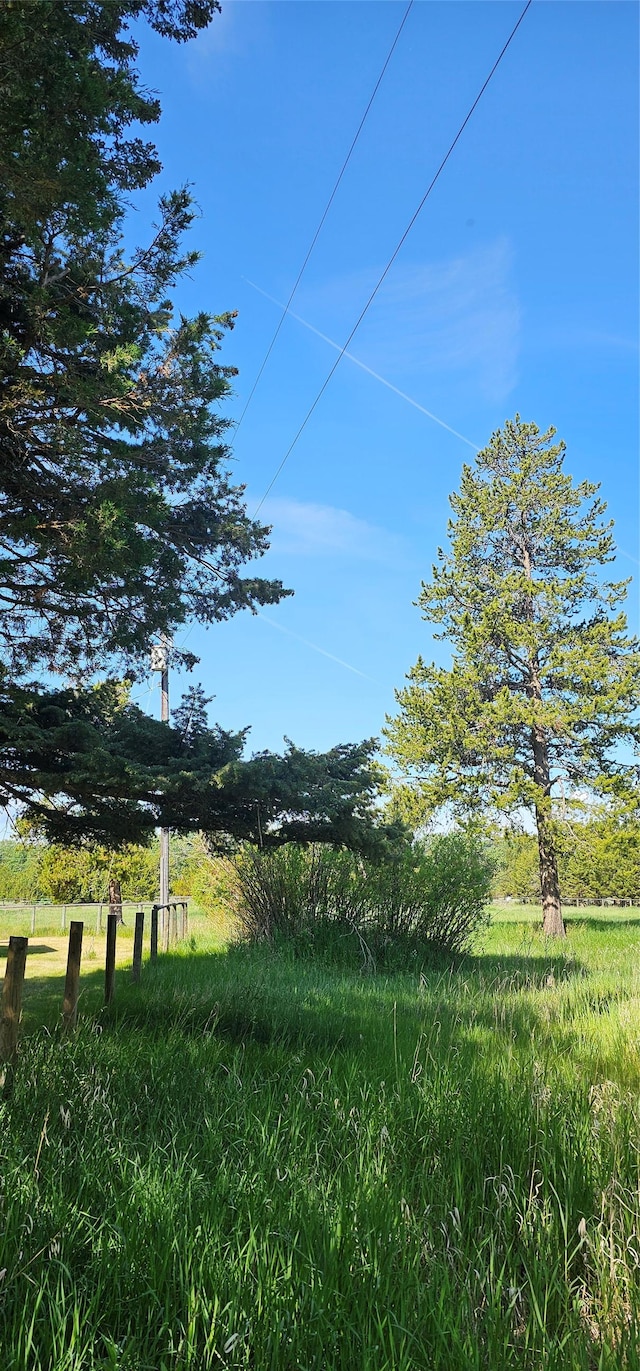 8325 Thunder Rd, Lincoln, MT 59639 - view of yard