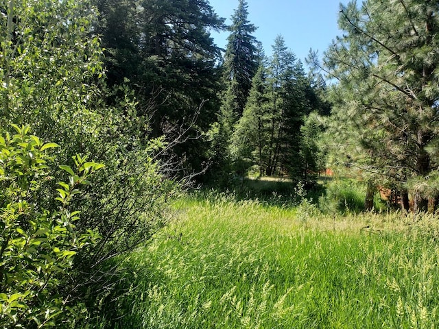 141 Lick Creek Rd, Hamilton, MT 59840