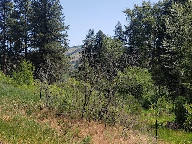 141 Lick Creek Rd, Hamilton, MT 59840