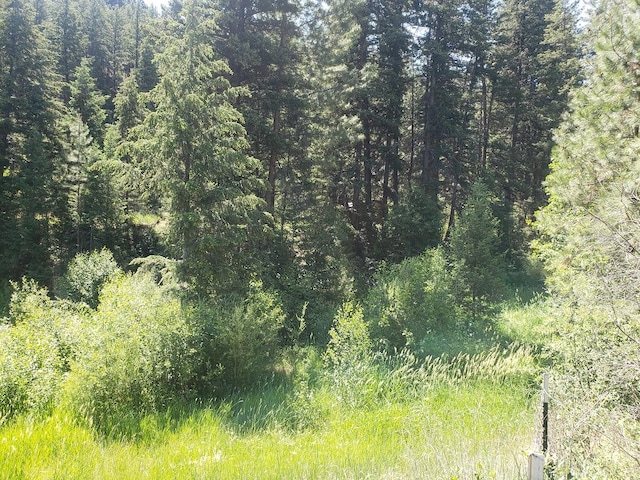 141 Lick Creek Rd, Hamilton, MT 59840