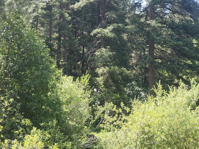 141 Lick Creek Rd, Hamilton, MT 59840
