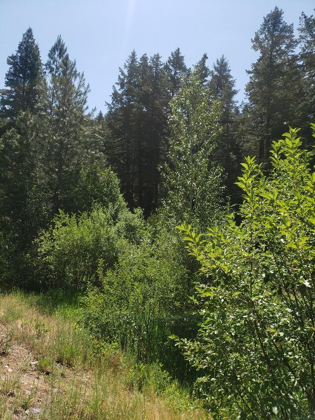 141 Lick Creek Rd, Hamilton, MT 59840
