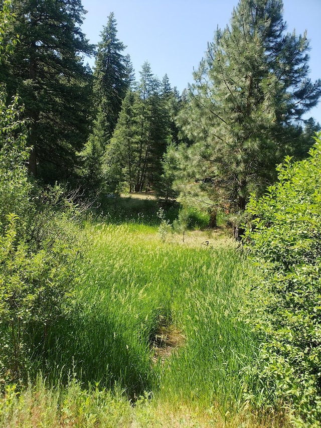 141 Lick Creek Rd, Hamilton, MT 59840