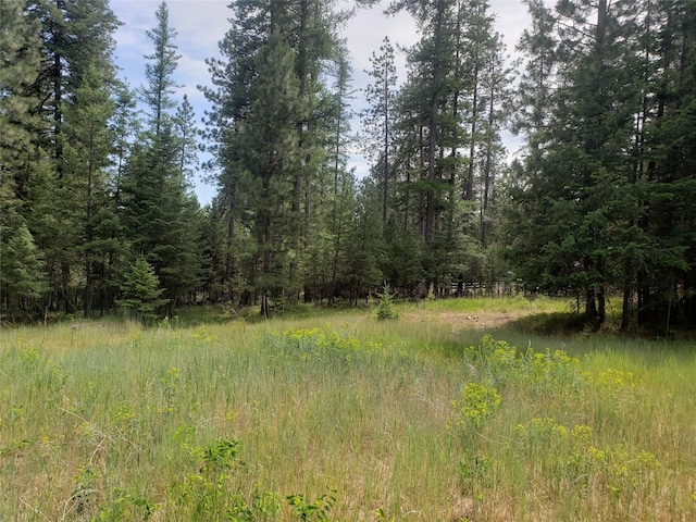 141 Lick Creek Rd, Hamilton, MT 59840