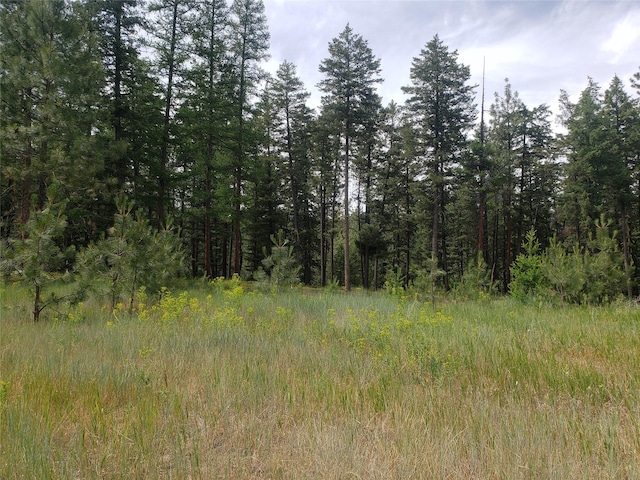 141 Lick Creek Rd, Hamilton, MT 59840