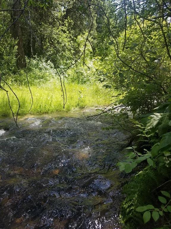 141 Lick Creek Rd, Hamilton, MT 59840