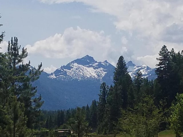 141 Lick Creek Rd, Hamilton, MT 59840
