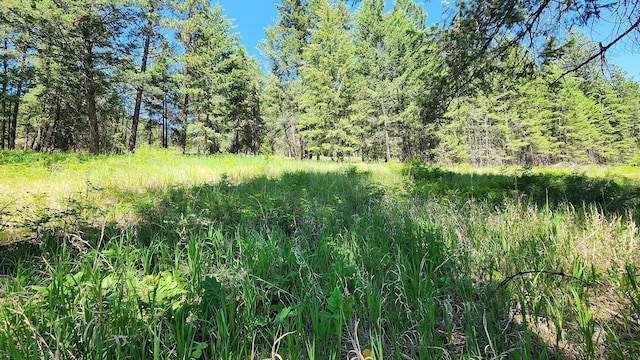21439 Rollins Lakeshore Dr, Rollins, MT 59931 - view of wooded area