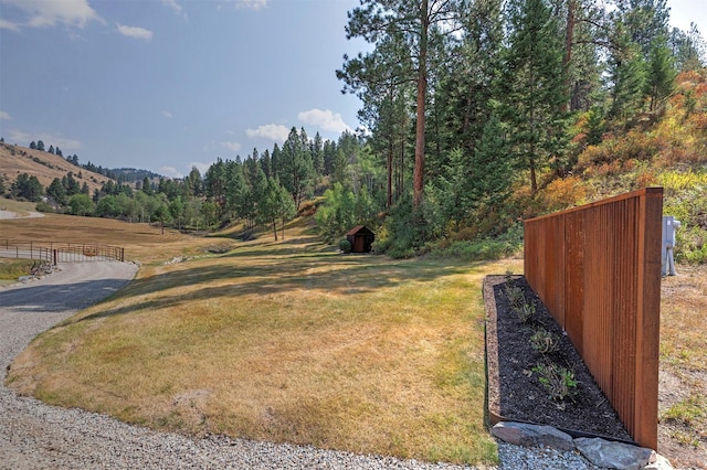 349 Harlan Creek Rd, Hamilton, MT 59840 - view of yard featuring a forest view